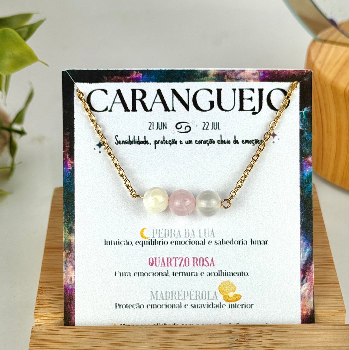 Caranguejo ♋️-(21 Junho a 22 Julho)